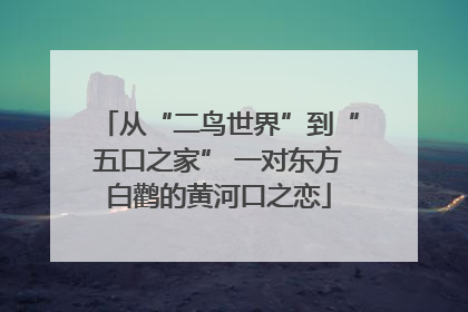 从“二鸟世界”到“五口之家” 一对东方白鹳的黄河口之恋