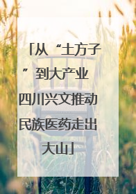 从“土方子”到大产业 四川兴文推动民族医药走出大山
