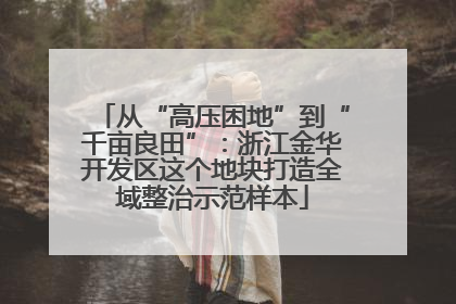 从“高压困地”到“千亩良田”：浙江金华开发区这个地块打造全域整治示范样本