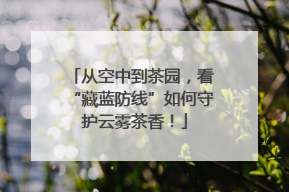 从空中到茶园，看“藏蓝防线”如何守护云雾茶香！