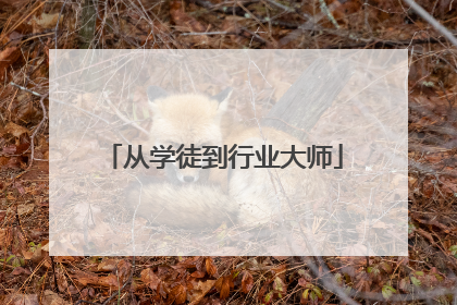 从学徒到行业大师