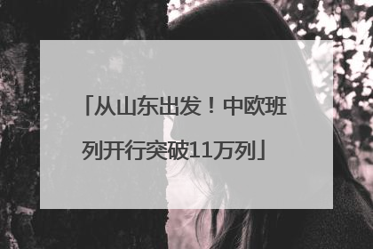 从山东出发！中欧班列开行突破11万列