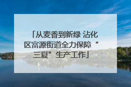 从麦香到新绿 沾化区富源街道全力保障“三夏”生产工作