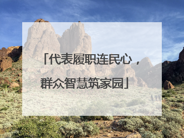 代表履职连民心，群众智慧筑家园