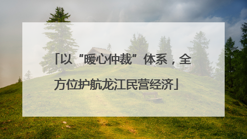 以“暖心仲裁”体系，全方位护航龙江民营经济