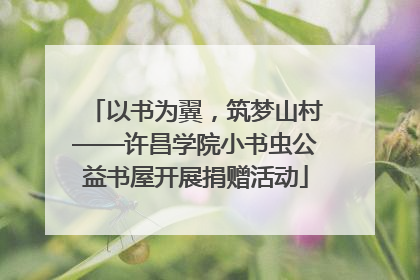 以书为翼，筑梦山村——许昌学院小书虫公益书屋开展捐赠活动