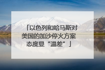 以色列和哈马斯对美国的加沙停火方案态度显“温差”