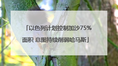以色列计划控制加沙75%面积 意图持续削弱哈马斯
