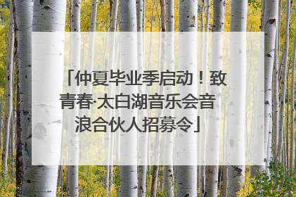 仲夏毕业季启动！致青春·太白湖音乐会音浪合伙人招募令