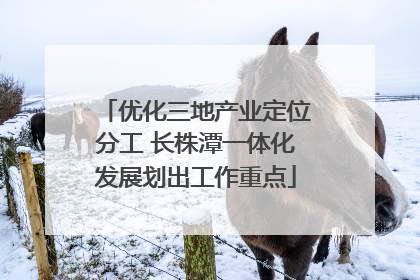 优化三地产业定位分工 长株潭一体化发展划出工作重点