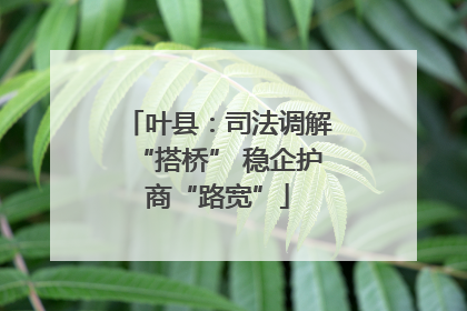 叶县：司法调解“搭桥” 稳企护商“路宽”