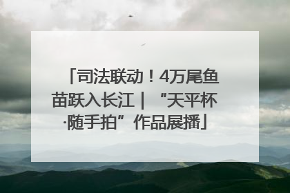司法联动！4万尾鱼苗跃入长江｜“天平杯·随手拍”作品展播