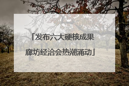 发布六大硬核成果 廊坊经洽会热潮涌动