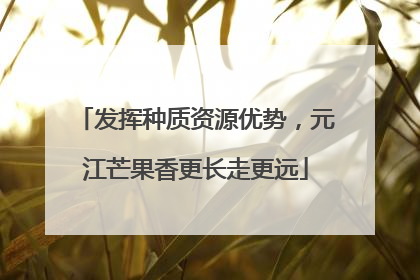 发挥种质资源优势，元江芒果香更长走更远