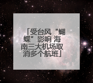 受台风“蝴蝶”影响 海南三大机场取消多个航班