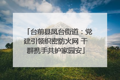 台前县凤台街道：党建引领织密防火网 干群携手共护家园安