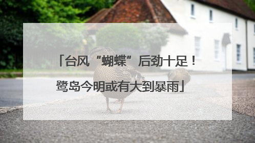 台风“蝴蝶”后劲十足！鹭岛今明或有大到暴雨