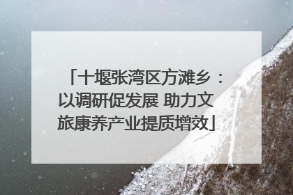 十堰张湾区方滩乡：以调研促发展 助力文旅康养产业提质增效