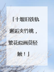 十堰旧铁轨邂逅夹竹桃，繁花似画莫轻触！