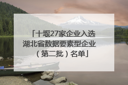 十堰27家企业入选湖北省数据要素型企业（第二批）名单