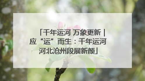 千年运河 万象更新｜应“运”而生：千年运河河北沧州段展新颜