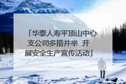 华泰人寿平顶山中心支公司多措并举  开展安全生产宣传活动
