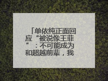 单依纯正面回应“被说像王菲”：不可能成为和超越前辈，我想致敬他们