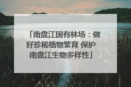 南盘江国有林场：做好珍稀植物繁育 保护南盘江生物多样性