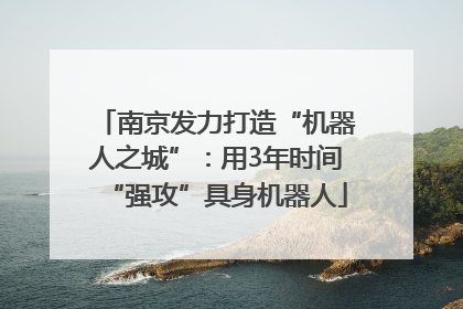 南京发力打造“机器人之城”：用3年时间“强攻”具身机器人