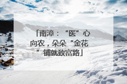 南漳：“医”心向农，朵朵“金花”铺就致富路