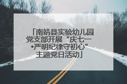 南靖县实验幼儿园党支部开展“庆七一•严明纪律守初心”主题党日活动