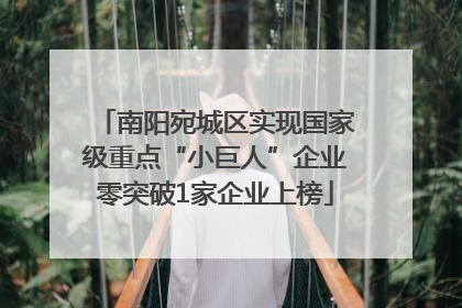 南阳宛城区实现国家级重点“小巨人”企业零突破1家企业上榜