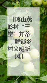 博山茂岭村“三堂”并蒂，解锁乡村文明新风
