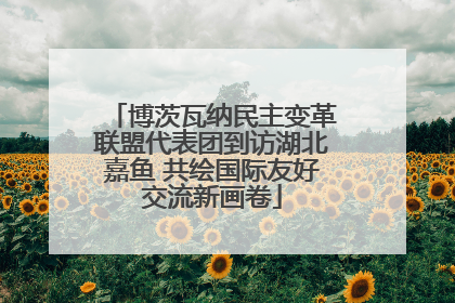 博茨瓦纳民主变革联盟代表团到访湖北嘉鱼 共绘国际友好交流新画卷