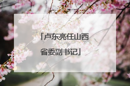 卢东亮任山西省委副书记