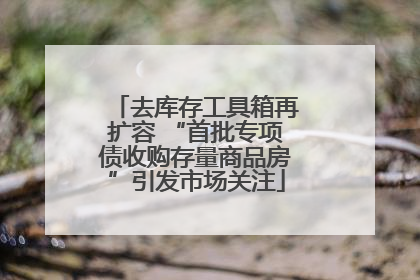 去库存工具箱再扩容 “首批专项债收购存量商品房”引发市场关注