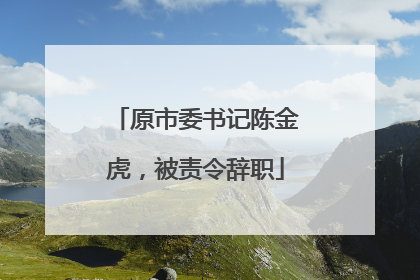 原市委书记陈金虎，被责令辞职