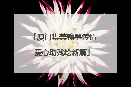 厦门集美翰墨传情 爱心助残绘新篇