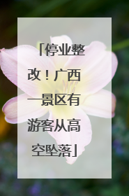 停业整改！广西一景区有游客从高空坠落