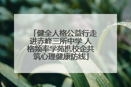 健全人格公益行走进赤峰三所中学 人格频率学苑携校企共筑心理健康防线
