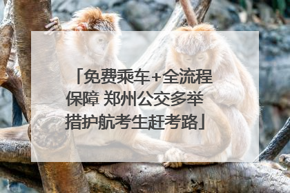 免费乘车+全流程保障 郑州公交多举措护航考生赶考路