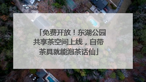 免费开放！东湖公园共享茶空间上线，自带茶具就能泡茶话仙