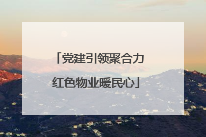 党建引领聚合力 红色物业暖民心