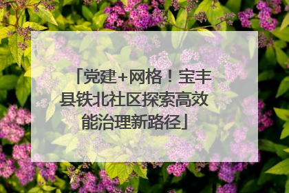 党建+网格！宝丰县铁北社区探索高效能治理新路径