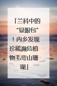 兰科中的“显眼包”！内乡发现珍稀濒危植物毛萼山珊瑚