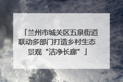 兰州市城关区五泉街道联动多部门打造乡村生态景观“洁净长廊”