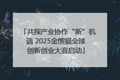 共探产业协作“新”机遇 2025金熊猫全球创新创业大赛启动