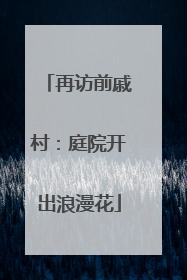 再访前戚村：庭院开出浪漫花