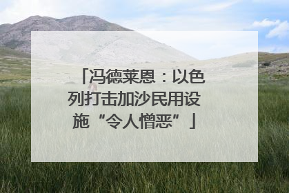 冯德莱恩：以色列打击加沙民用设施“令人憎恶”