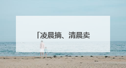 凌晨摘、清晨卖，江北“杨梅自由一条街”藏着最甜的烟火气